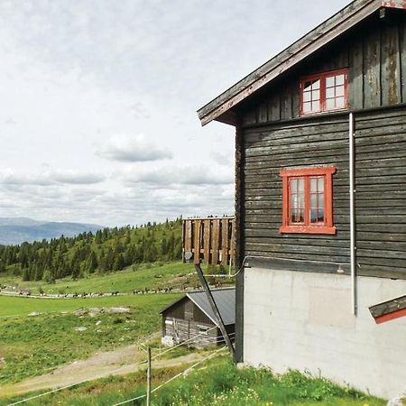 Sulseter Fjellstugu Apartment Vinstra Bagian luar foto
